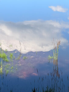 ©Simone Göstl, Schneiteich aus der Serie: Momente der (Natur?)